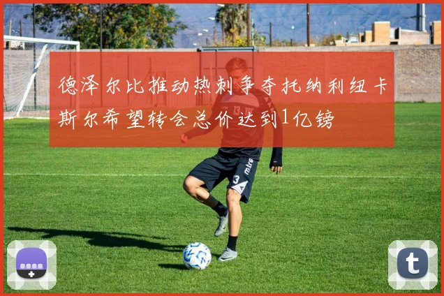 德泽尔比推动热刺争夺托纳利纽卡斯尔希望转会总价达到1亿镑